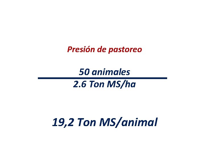 Presión de pastoreo 50 animales 2. 6 Ton MS/ha 19, 2 Ton MS/animal 