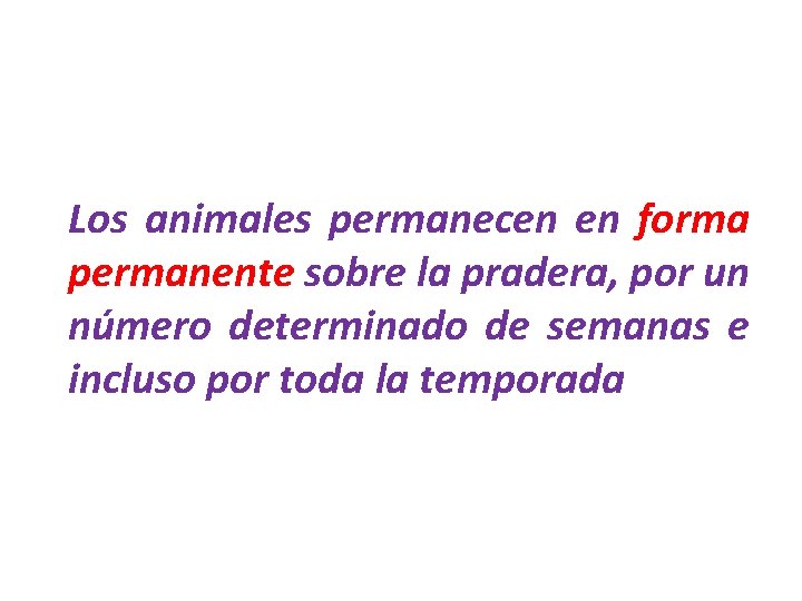 Los animales permanecen en forma permanente sobre la pradera, por un número determinado de