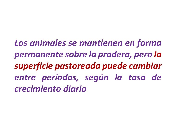 Los animales se mantienen en forma permanente sobre la pradera, pero la superficie pastoreada