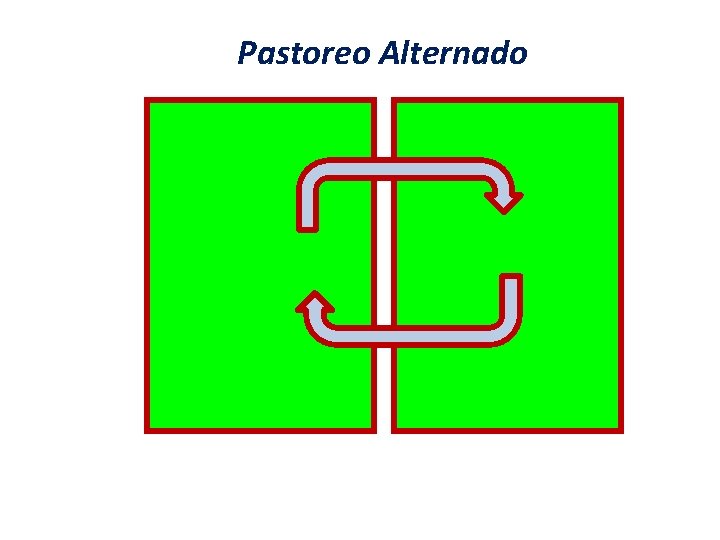 Pastoreo Alternado 