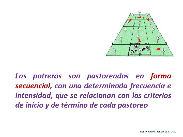 Los potreros son pastoreados en forma secuencial, con una determinada frecuencia e intensidad, que