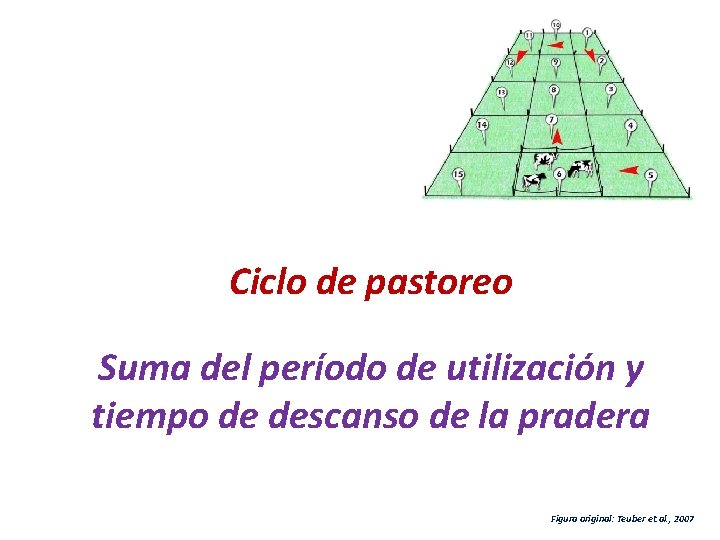 Ciclo de pastoreo Suma del período de utilización y tiempo de descanso de la