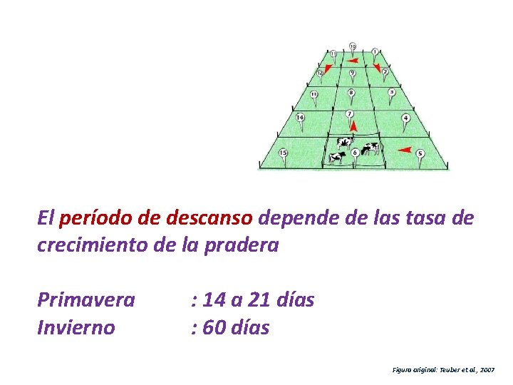 El período de descanso depende de las tasa de crecimiento de la pradera Primavera