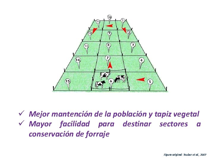 ü Mejor mantención de la población y tapiz vegetal ü Mayor facilidad para destinar