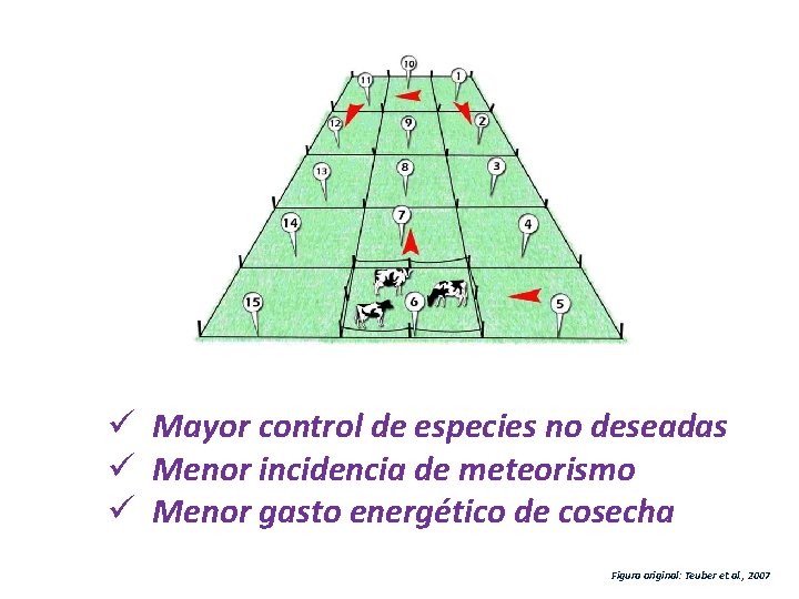 ü Mayor control de especies no deseadas ü Menor incidencia de meteorismo ü Menor