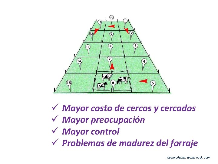 ü ü Mayor costo de cercos y cercados Mayor preocupación Mayor control Problemas de