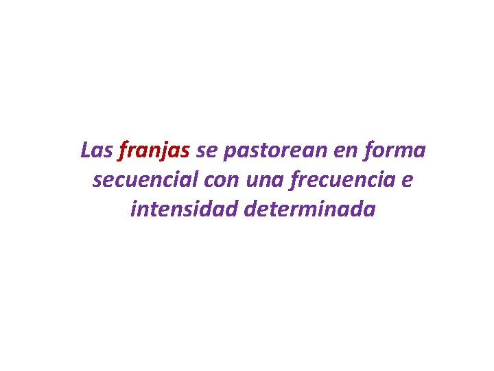 Las franjas se pastorean en forma secuencial con una frecuencia e intensidad determinada 