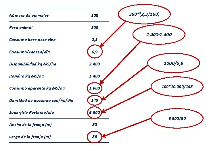 Número de animales 100 Peso animal 300 Consumo base peso vivo 2, 3 Consumo/cabeza/día