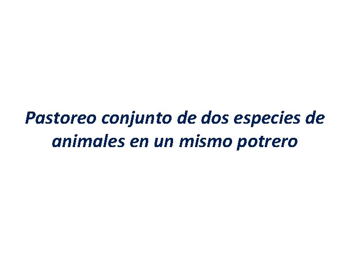 Pastoreo conjunto de dos especies de animales en un mismo potrero 