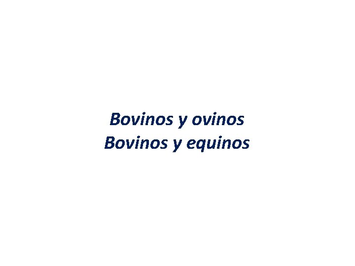 Bovinos y ovinos Bovinos y equinos 
