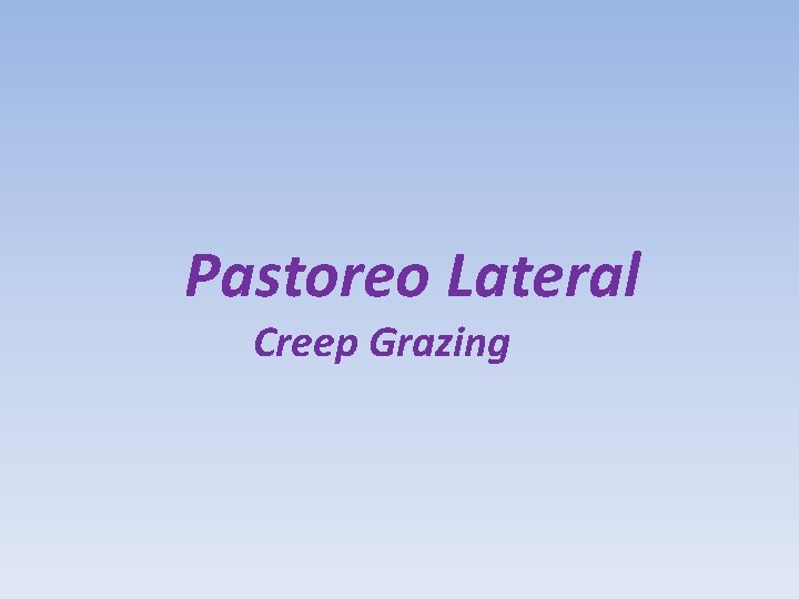 Pastoreo Lateral Creep Grazing 