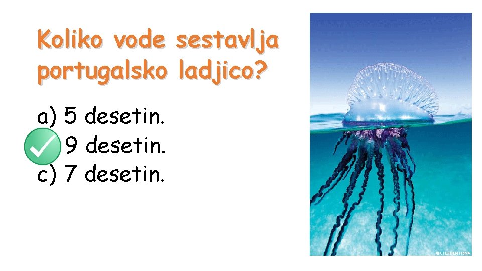 Koliko vode sestavlja portugalsko ladjico? a) 5 desetin. b) 9 desetin. c) 7 desetin.