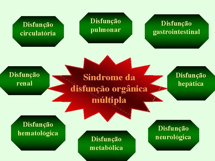 Disfunção circulatória Disfunção renal Disfunção hematológica Disfunção pulmonar Síndrome da disfunção orgânica múltipla Disfunção