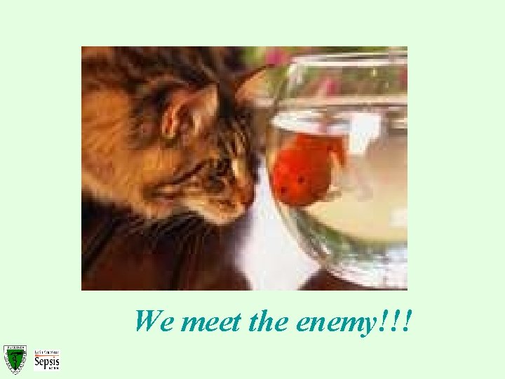 We meet the enemy!!! 