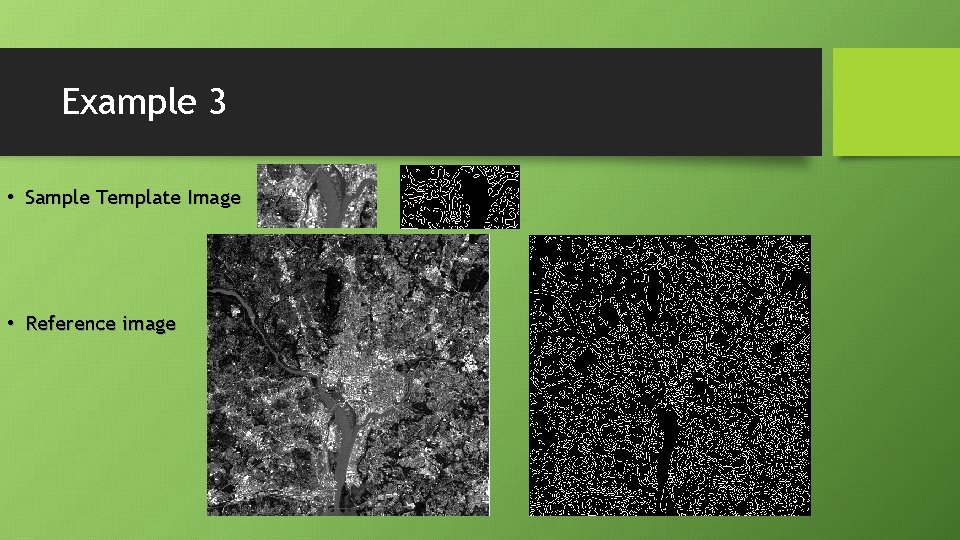 Example 3 • Sample Template Image • Reference image Example 3 • Sample Template Image • Reference image