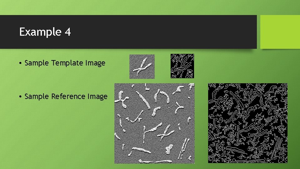 Example 4 • Sample Template Image • Sample Reference Image Example 4 • Sample Template Image • Sample Reference Image