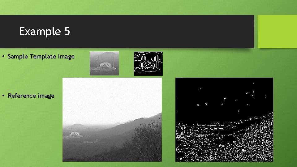 Example 5 • Sample Template Image • Reference image Example 5 • Sample Template Image • Reference image