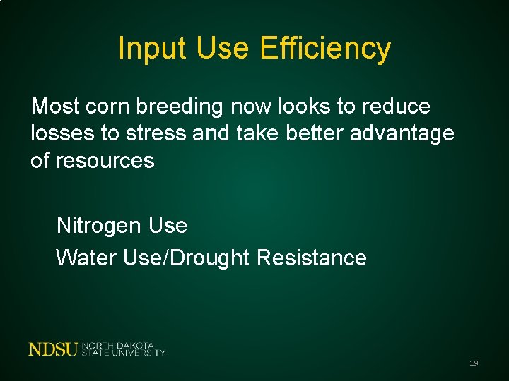 Input Use Efficiency Most corn breeding now looks to reduce losses to stress and