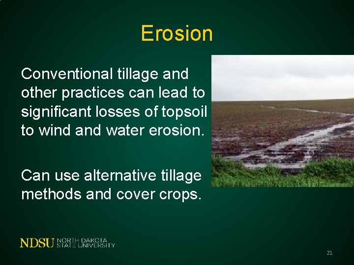 Erosion Conventional tillage and other practices can lead to significant losses of topsoil to