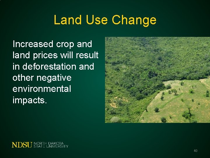 Land Use Change Increased crop and land prices will result in deforestation and other