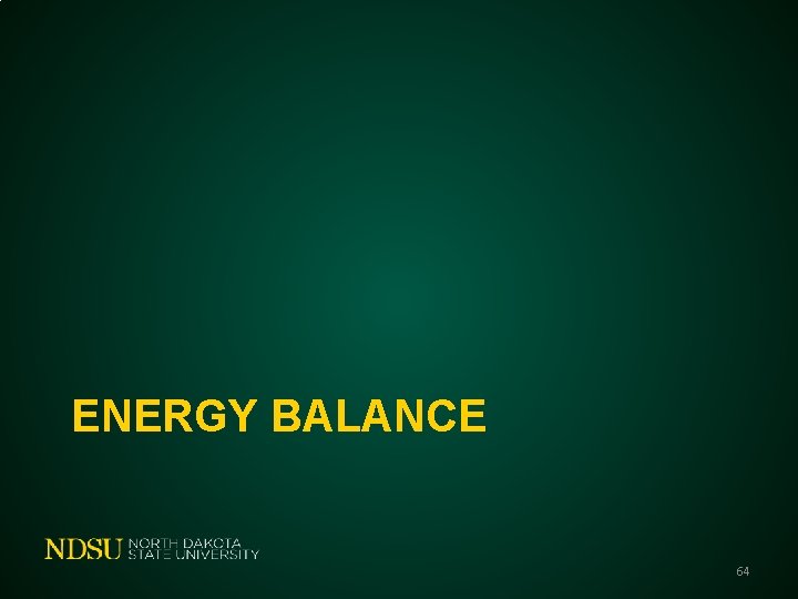 ENERGY BALANCE 64 
