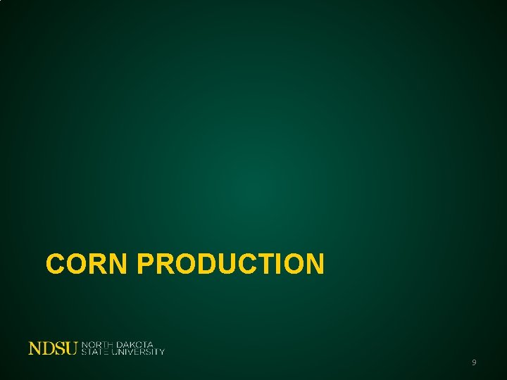 CORN PRODUCTION 9 