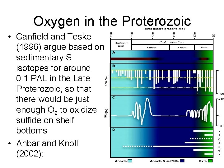 Oxygen in the Proterozoic • Canfield and Teske (1996) argue based on sedimentary S