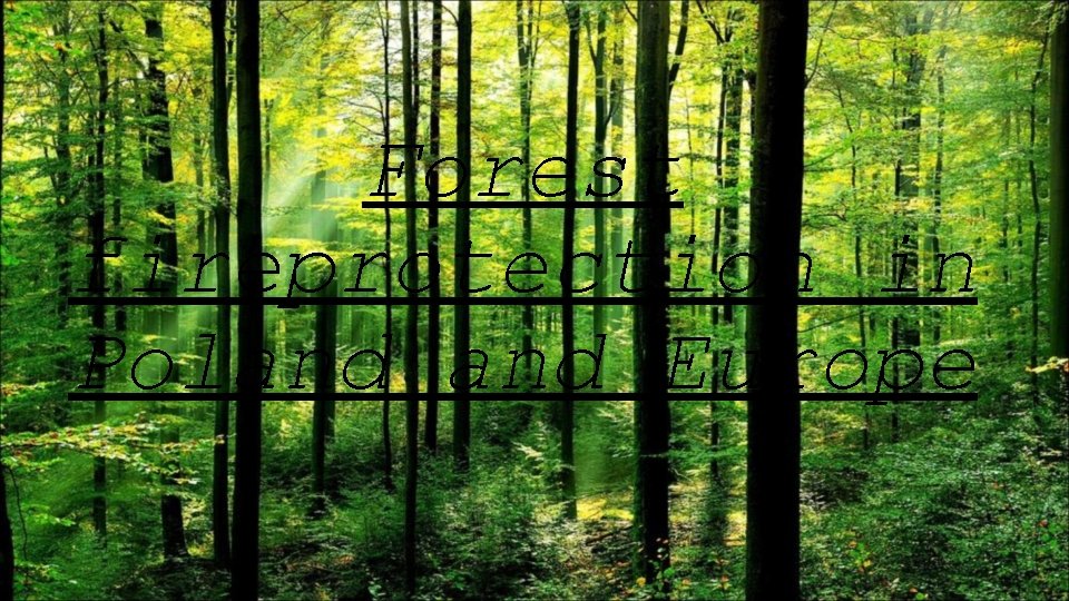 Forest fireprotection in Poland Europe 