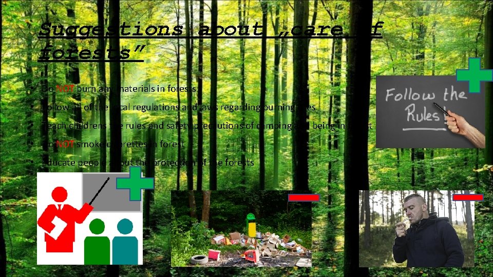 Suggestions about „care of forests” • Do NOT burn any materials in forests •