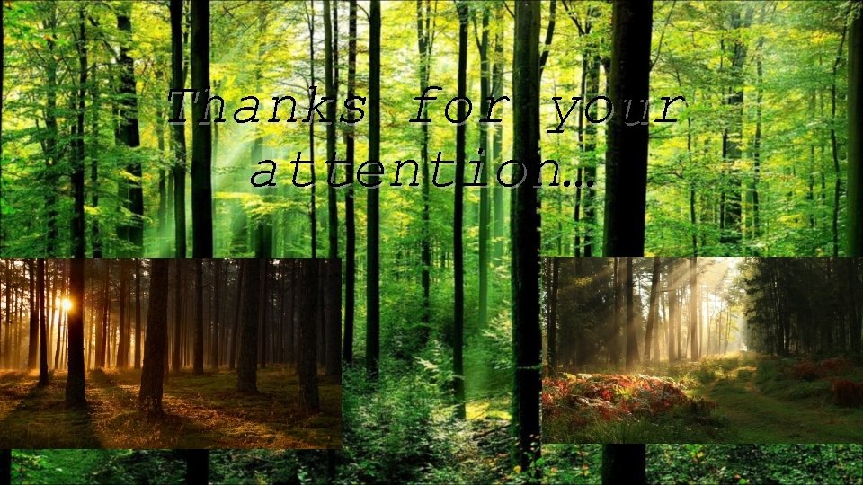 Thanks for your attention… 