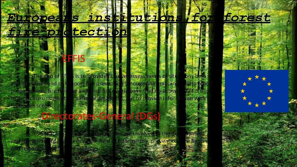 Europeans institutions forest fire protection EFFIS The aim of EFFIS is to provide EU