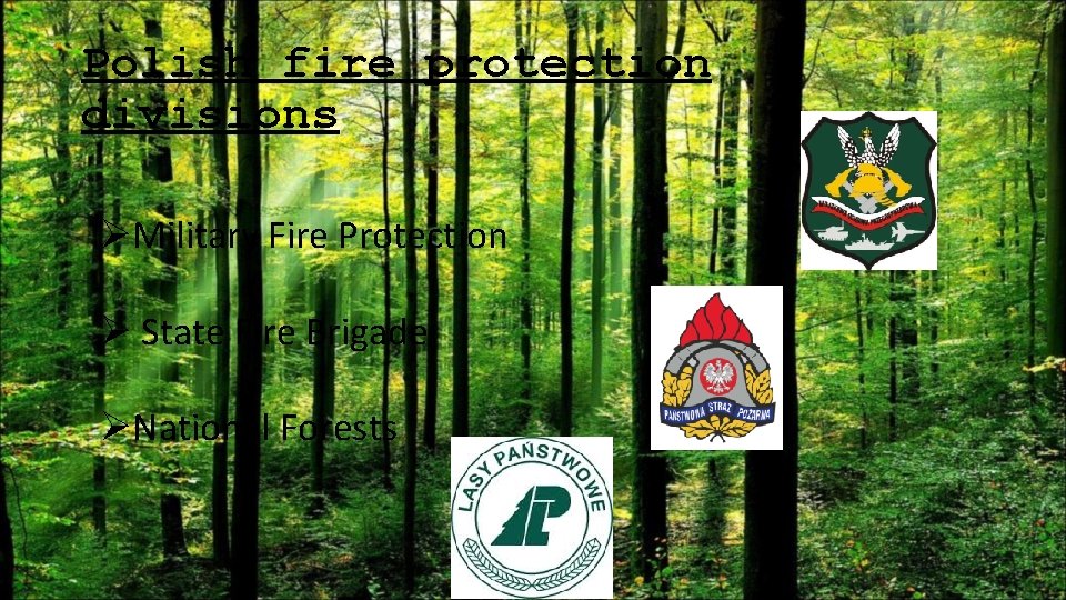 Polish fire protection divisions ØMilitary Fire Protection Ø State Fire Brigade ØNational Forests 