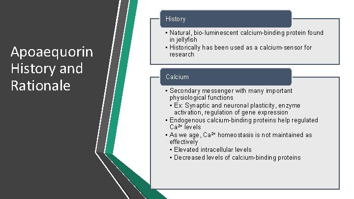 History Apoaequorin History and Rationale • Natural, bio-luminescent calcium-binding protein found in jellyfish •