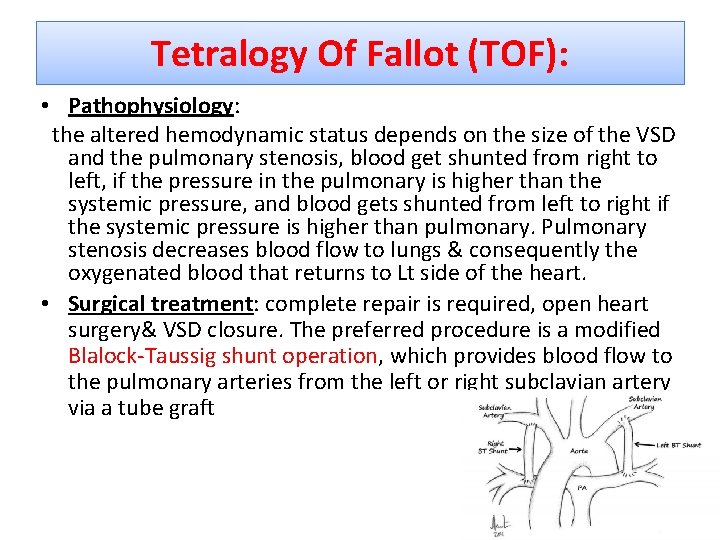 Tetralogy Of Fallot (TOF): • Pathophysiology: the altered hemodynamic status depends on the size