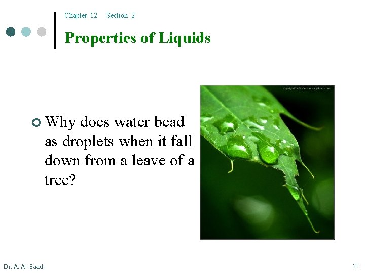 Chapter 12 Section 2 Properties of Liquids ¢ Why does water bead as droplets