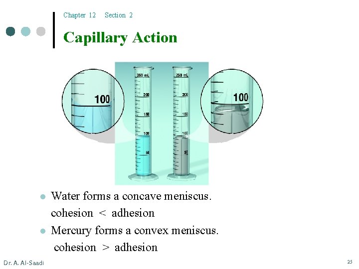 Chapter 12 Section 2 Capillary Action l l Dr. A. Al-Saadi Water forms a