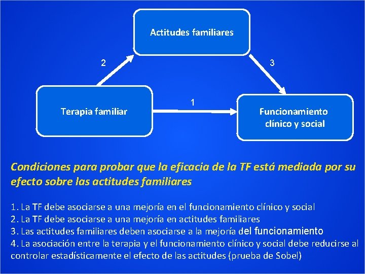 Anlisis del proceso teraputico en la terapia familiar