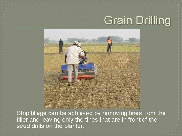 Grain Drilling Strip tillage can be achieved by removing tines from the tiller and
