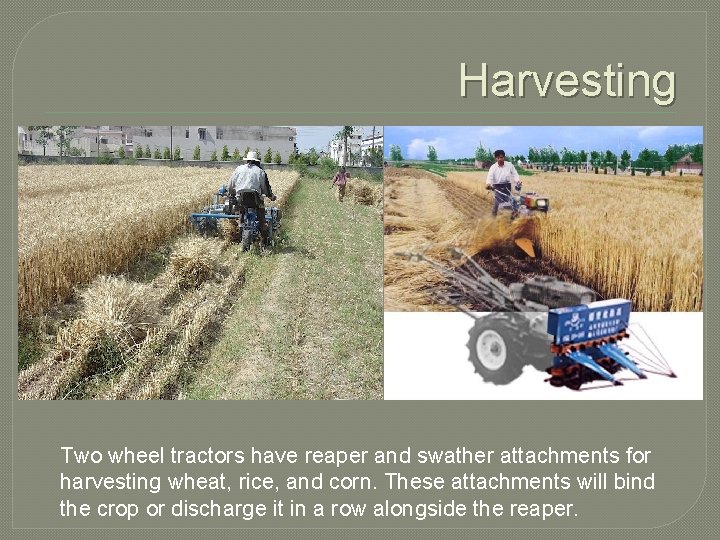 Harvesting Two wheel tractors have reaper and swather attachments for harvesting wheat, rice, and