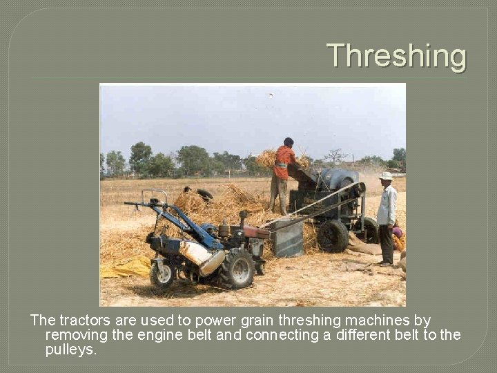 Threshing The tractors are used to power grain threshing machines by removing the engine