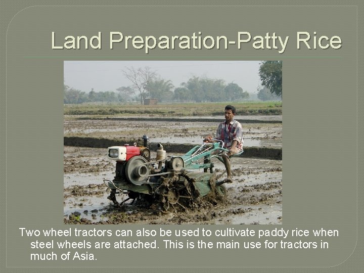 Land Preparation-Patty Rice Two wheel tractors can also be used to cultivate paddy rice