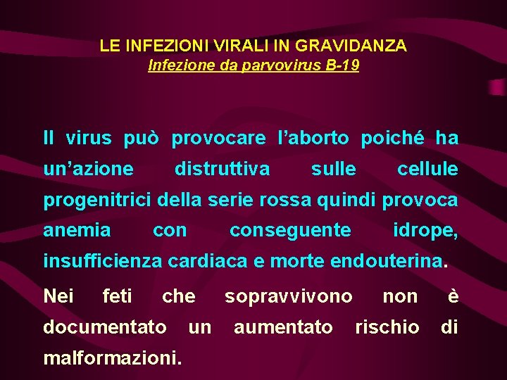 LE INFEZIONI VIRALI IN GRAVIDANZA Infezione da parvovirus B-19 Il virus può provocare l’aborto