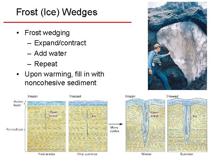 Frost (Ice) Wedges • Frost wedging – Expand/contract – Add water – Repeat •