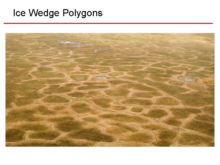 Ice Wedge Polygons 