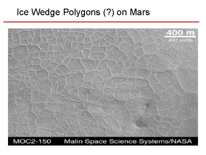 Ice Wedge Polygons (? ) on Mars 