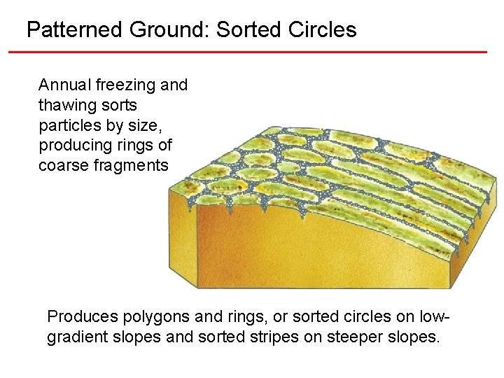 Patterned Ground: Sorted Circles Annual freezing and thawing sorts particles by size, producing rings