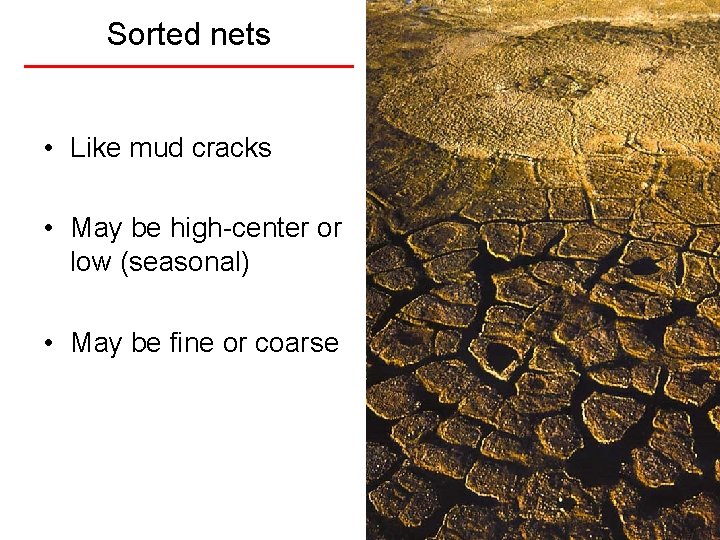 Sorted nets • Like mud cracks • May be high-center or low (seasonal) •