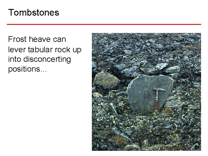 Tombstones Frost heave can lever tabular rock up into disconcerting positions… 