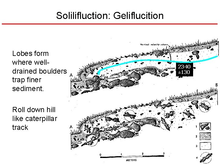 Solilifluction: Geliflucition Lobes form where welldrained boulders trap finer sediment. Roll down hill like