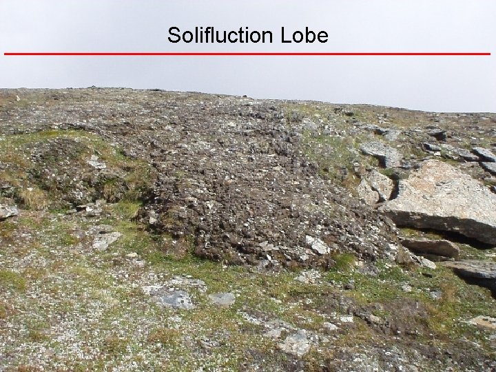 Solifluction Lobe 